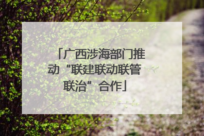 广西涉海部门推动“联建联动联管联治”合作