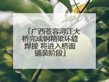 广西苍容浔江大桥完成钢箱梁环缝焊接 将进入桥面铺装阶段
