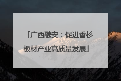 广西融安：促进香杉板材产业高质量发展