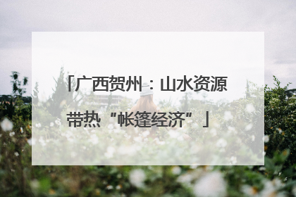 广西贺州：山水资源带热“帐篷经济”