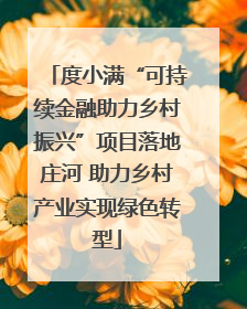 度小满“可持续金融助力乡村振兴”项目落地庄河 助力乡村产业实现绿色转型