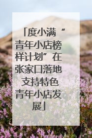 度小满“青年小店榜样计划”在张家口落地 支持特色青年小店发展