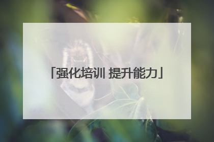 强化培训 提升能力