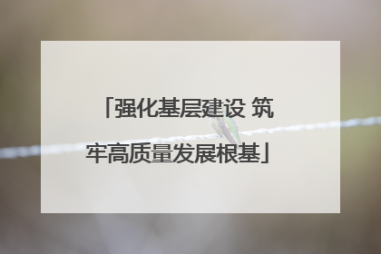强化基层建设 筑牢高质量发展根基