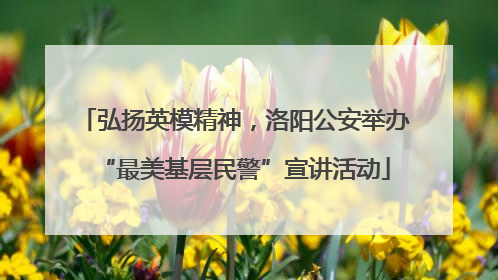 弘扬英模精神，洛阳公安举办“最美基层民警”宣讲活动