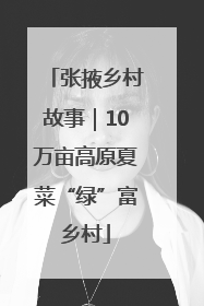 张掖乡村故事｜10万亩高原夏菜“绿”富乡村