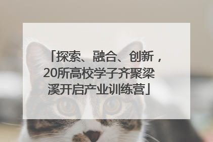 探索、融合、创新，20所高校学子齐聚梁溪开启产业训练营