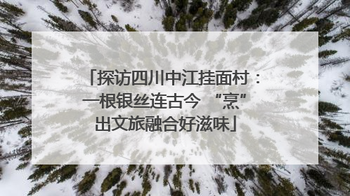 探访四川中江挂面村：一根银丝连古今 “烹”出文旅融合好滋味