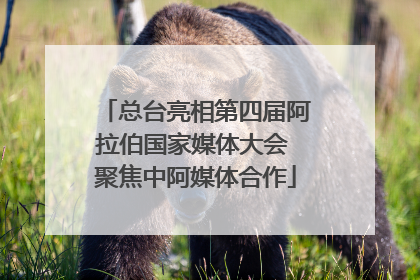总台亮相第四届阿拉伯国家媒体大会 聚焦中阿媒体合作