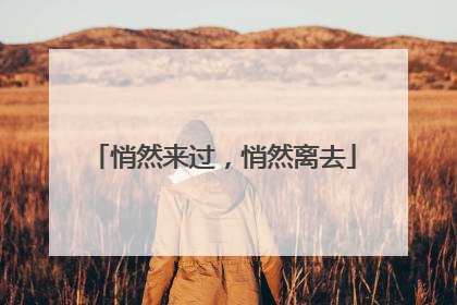 悄然来过，悄然离去