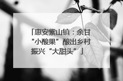 惠安紫山镇：余甘“小酸果”酿出乡村振兴“大甜头”