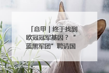 意甲｜终于找到欧冠冠军基因？“蓝黑军团”聘请国米名宿齐沃执教