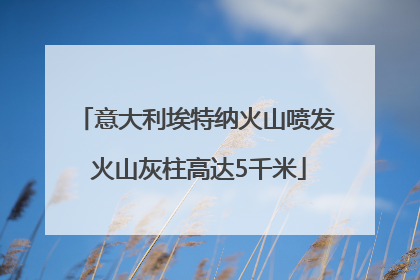 意大利埃特纳火山喷发 火山灰柱高达5千米
