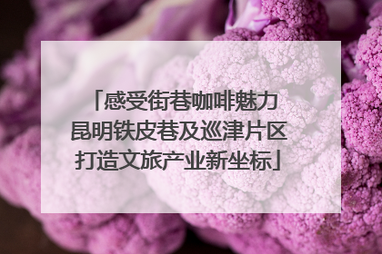 感受街巷咖啡魅力 昆明铁皮巷及巡津片区打造文旅产业新坐标