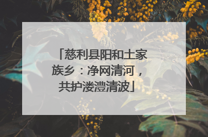 慈利县阳和土家族乡：净网清河，共护溇澧清波