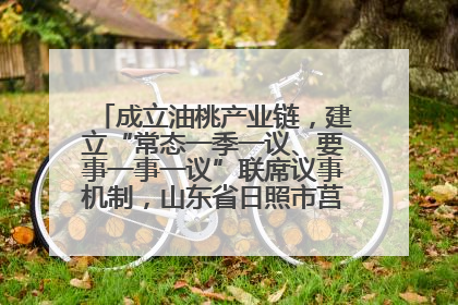 成立油桃产业链，建立“常态一季一议、要事一事一议”联席议事机制，山东省日照市莒县果庄镇——13个党小组“全周期”育果