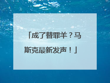 成了替罪羊？马斯克最新发声！