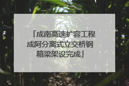 成南高速扩容工程成阿分离式立交桥钢箱梁架设完成