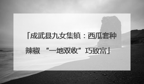 成武县九女集镇：西瓜套种辣椒 “一地双收”巧致富