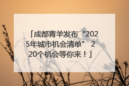 成都青羊发布“2025年城市机会清单” 220个机会等你来！