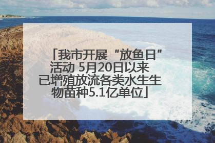 我市开展“放鱼日”活动 5月20日以来已增殖放流各类水生生物苗种5.1亿单位