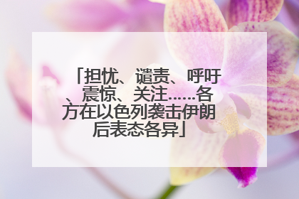 担忧、谴责、呼吁、震惊、关注……各方在以色列袭击伊朗后表态各异
