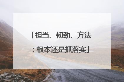 担当、韧劲、方法：根本还是抓落实