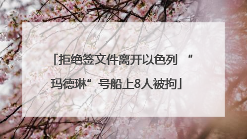 拒绝签文件离开以色列 “玛德琳”号船上8人被拘