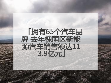 拥有65个汽车品牌 去年槐荫区新能源汽车销售额达113.9亿元