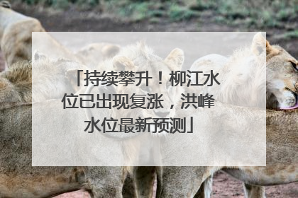 持续攀升！柳江水位已出现复涨，洪峰水位最新预测