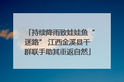 持续降雨致娃娃鱼“迷路” 江西金溪县干群联手助其重返自然