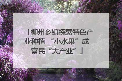 柳州乡镇探索特色产业种植 “小水果”成富民“大产业”