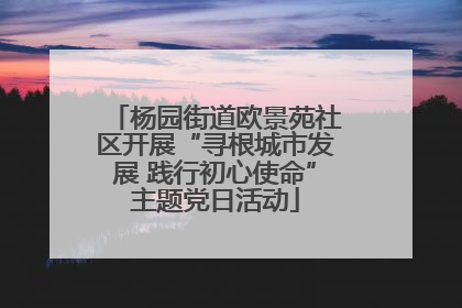 杨园街道欧景苑社区开展“寻根城市发展 践行初心使命”主题党日活动