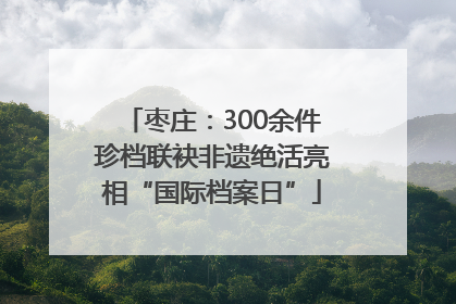 枣庄：300余件珍档联袂非遗绝活亮相“国际档案日”