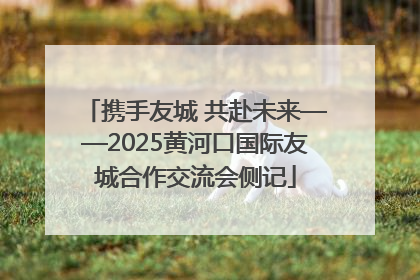 携手友城 共赴未来——2025黄河口国际友城合作交流会侧记