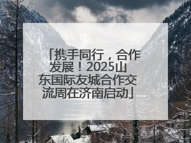 携手同行，合作发展！2025山东国际友城合作交流周在济南启动