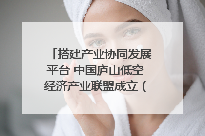 搭建产业协同发展平台 中国庐山低空经济产业联盟成立（组图｜视频）