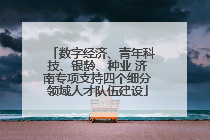 数字经济、青年科技、银龄、种业 济南专项支持四个细分领域人才队伍建设