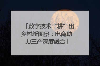 数字技术“耕”出乡村新图景：电商助力三产深度融合