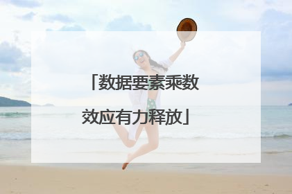 数据要素乘数效应有力释放
