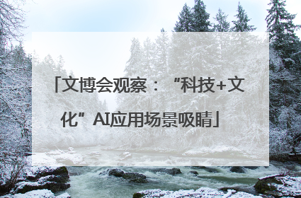 文博会观察：“科技+文化”AI应用场景吸睛