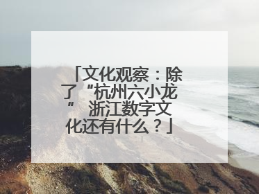 文化观察：除了“杭州六小龙” 浙江数字文化还有什么？