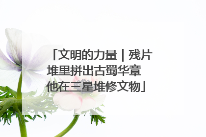 文明的力量｜残片堆里拼出古蜀华章 他在三星堆修文物
