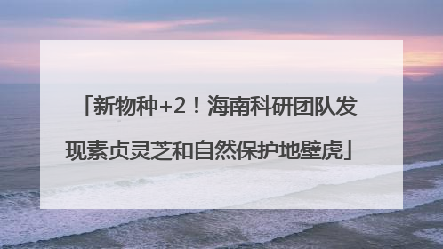 新物种+2！海南科研团队发现素贞灵芝和自然保护地壁虎