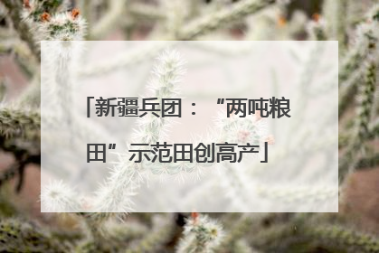 新疆兵团：“两吨粮田”示范田创高产