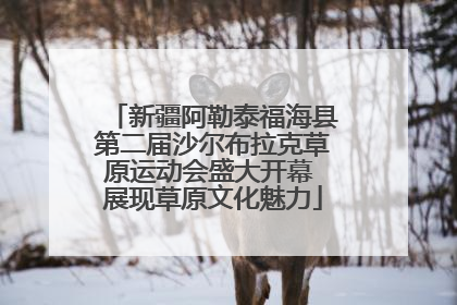 新疆阿勒泰福海县第二届沙尔布拉克草原运动会盛大开幕 展现草原文化魅力