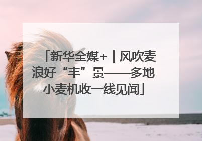 新华全媒+｜风吹麦浪好“丰”景——多地小麦机收一线见闻