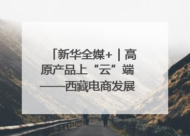 新华全媒+｜高原产品上“云”端——西藏电商发展一线观察