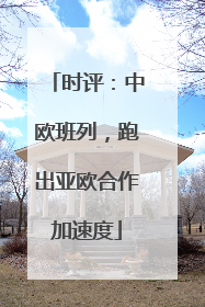时评：中欧班列，跑出亚欧合作加速度