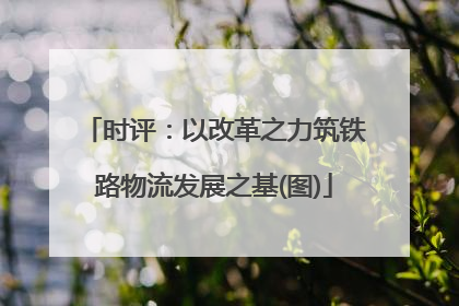 时评：以改革之力筑铁路物流发展之基(图)